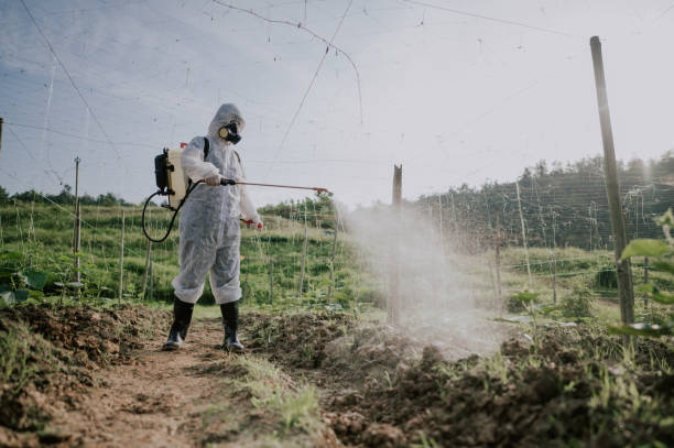 Professional Pest Control in Greendale, WI