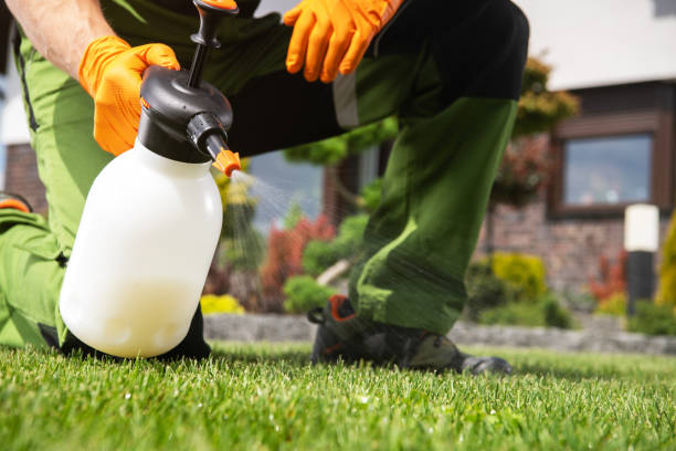 Best Bed Bug Extermination  in Greendale, WI
