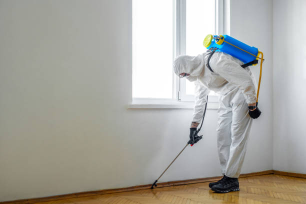 Best Affordable Pest Control Services  in Greendale, WI